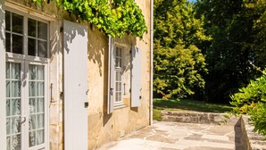 A stone-paved pathway leading to a building with white doors and windows, surrounded by greenery and trees.