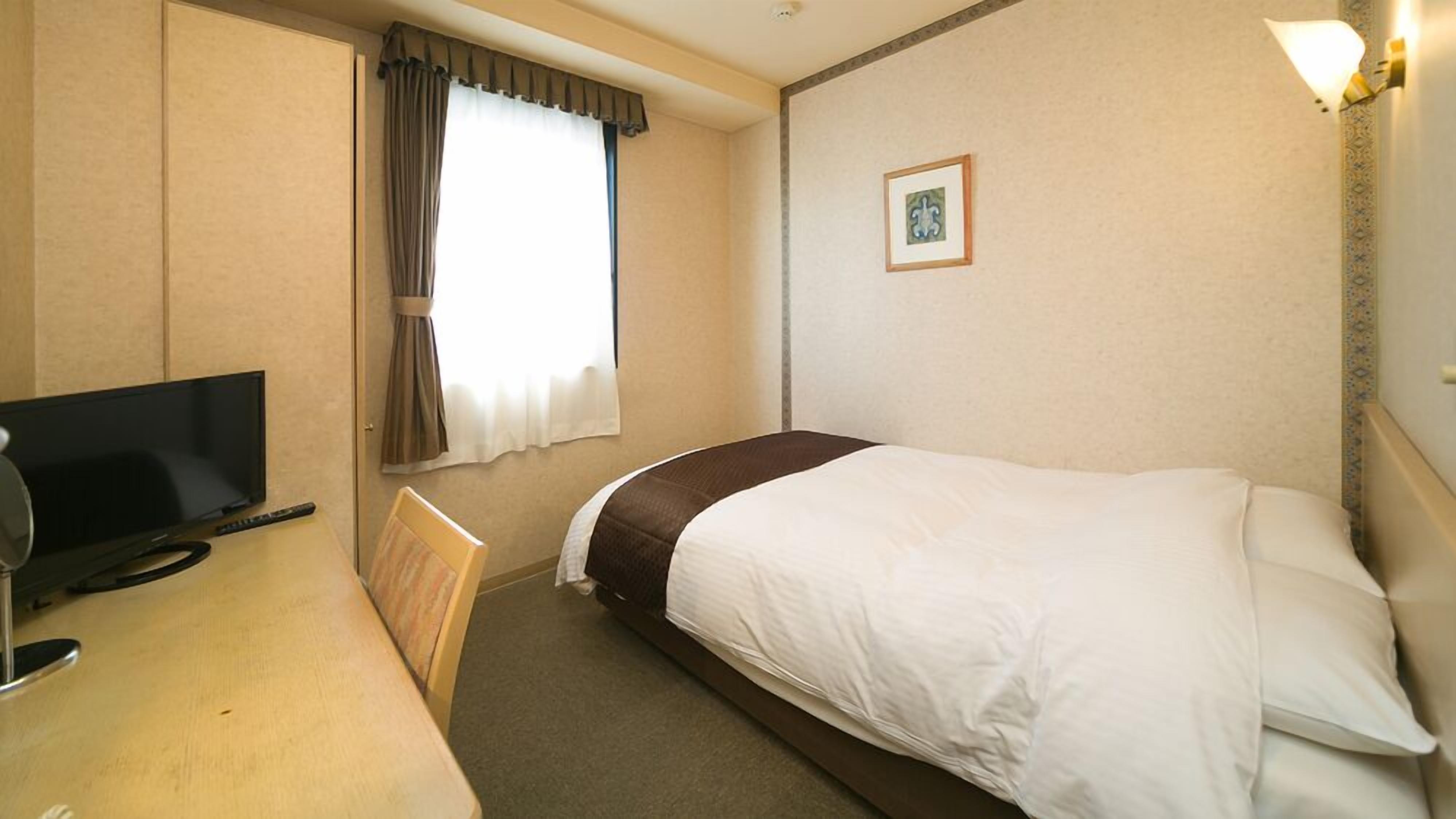 Habitació d'hotel amb un llit, una escriptori amb televisió, una cadira, una finestra amb cortines i un quadre al mur.