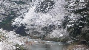 Unclassified image, 3 of 5, button - Maruoka Onsen Takekurabe (Sakai)