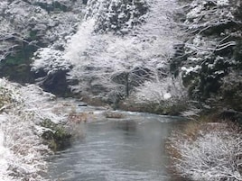 Lago