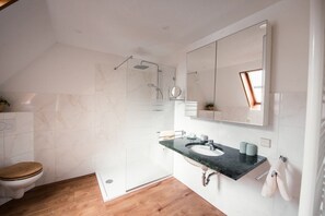 Shower, free toiletries, towels