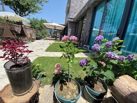 A patio area with potted plants, a stone pathway, and outdoor furniture.