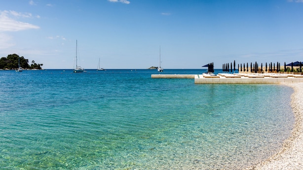 A beach with clear turquoise water, a sandy shore, and a row of tall, slender trees.