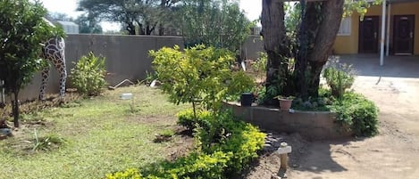 Jardim