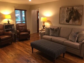 TV, fireplace, books, video library