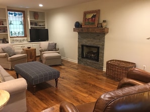 TV, fireplace, books, video library