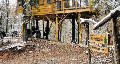 Luxury treehouse built by The Treehouse Guys of the DIY show