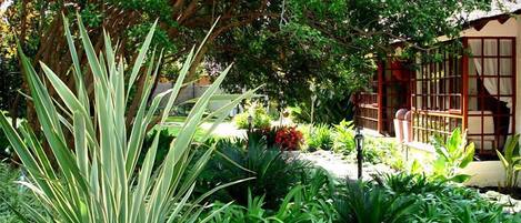 Un exuberante jardín con diversas plantas y una construcción tradicional con techo de tejas y puertas de madera.