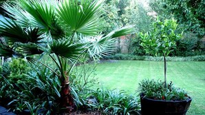 Jardí amb diverses plantes, una petita bassa i un passeig pavimentat.