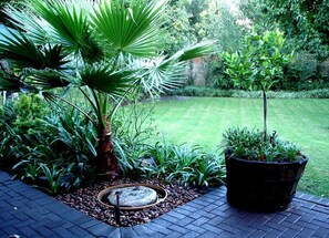Garden - De Witt'e Guest House (Bloemfontein)