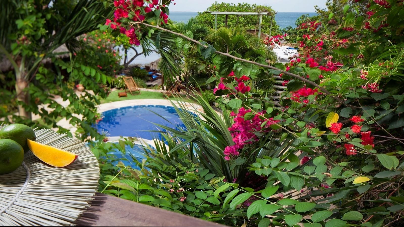 superior room | view from room