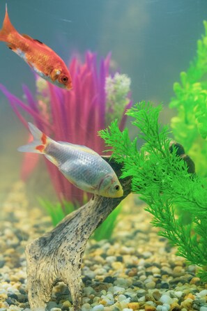 Coin salon dans le hall