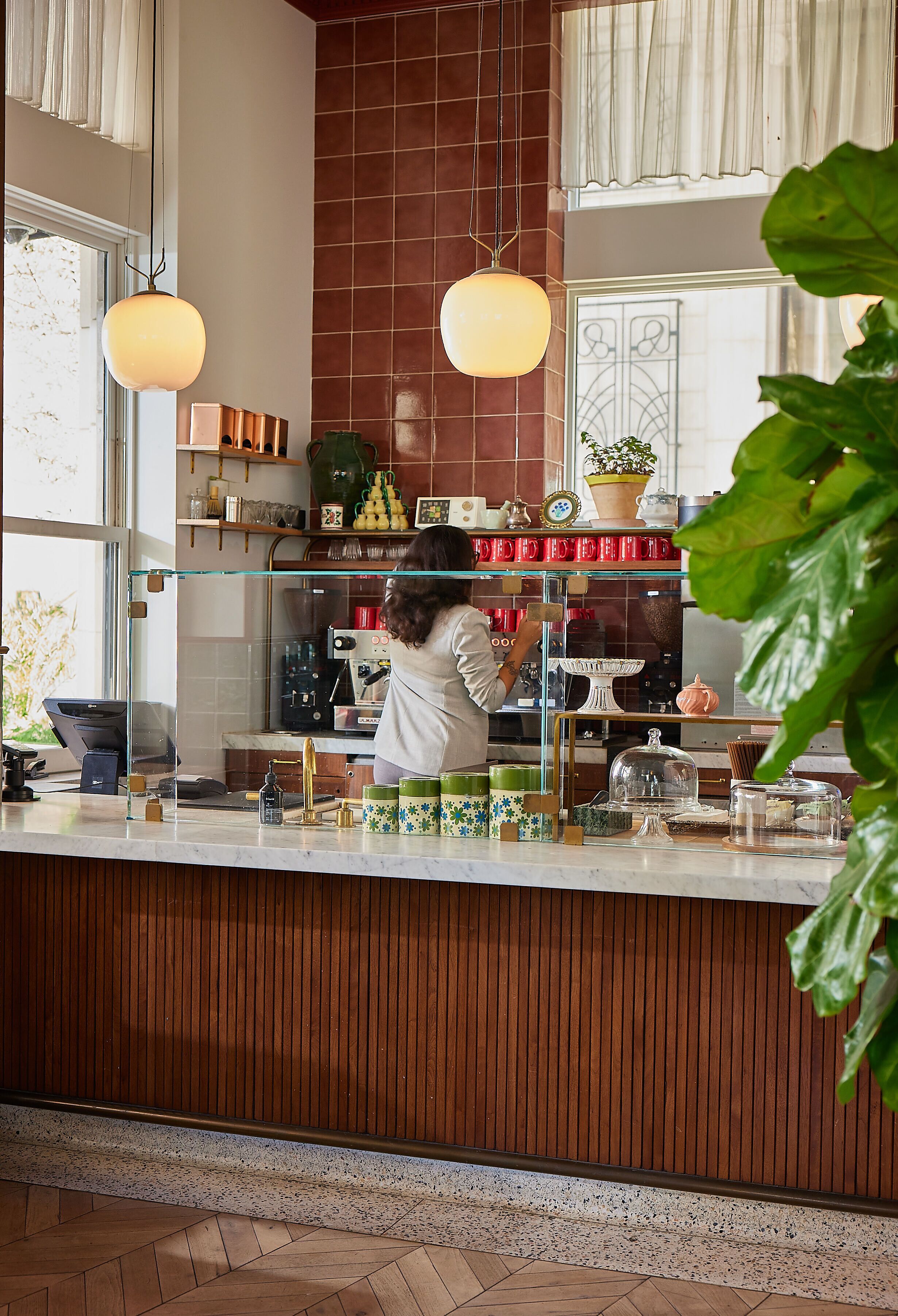 Interior de cafeteria amb un taulell de fusta, vitrina de cristall i una planta verda gran.