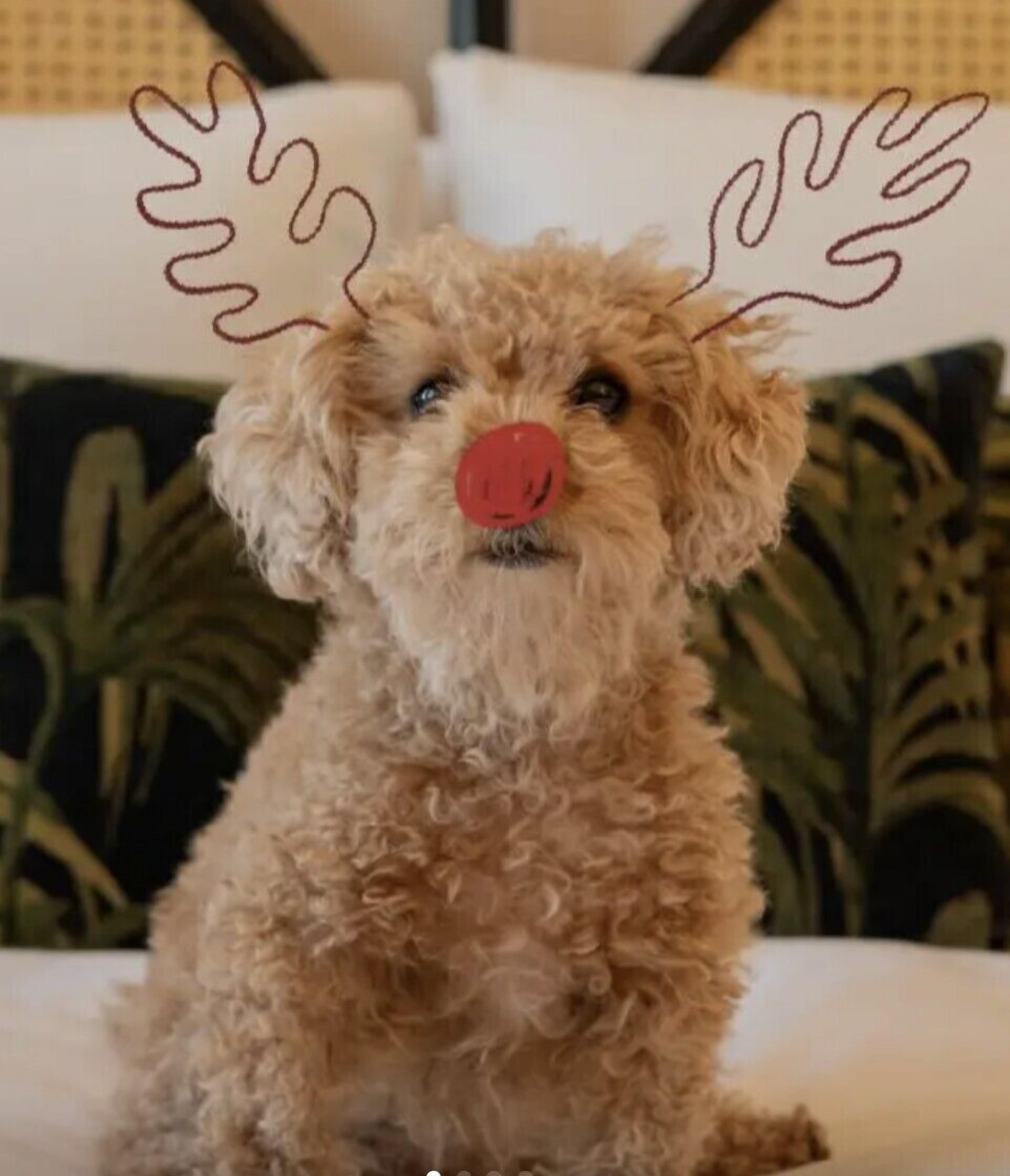 Foto - The Hoxton, Downtown LA