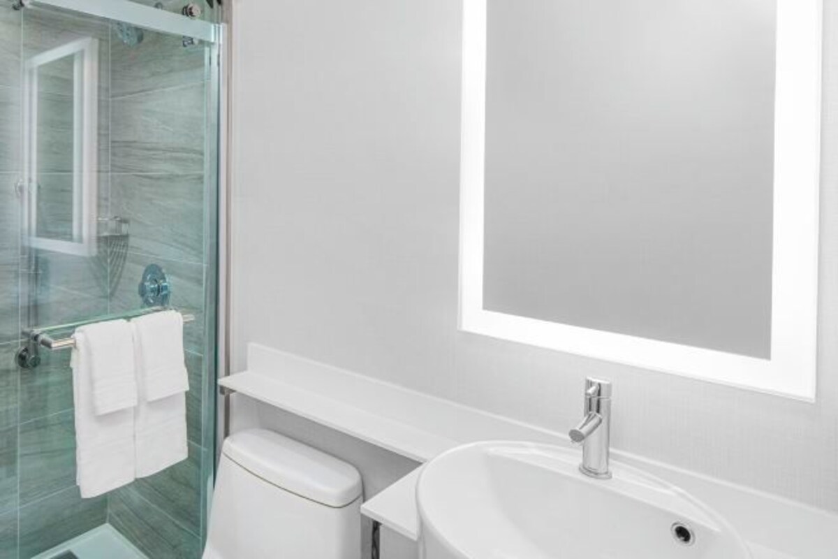 A modern bathroom with a glass-enclosed shower, a white toilet, and a large mirror above a white sink.