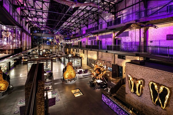 Servicio de la propiedad