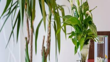 Petit déjeuner buffet (8 EUR par personne)