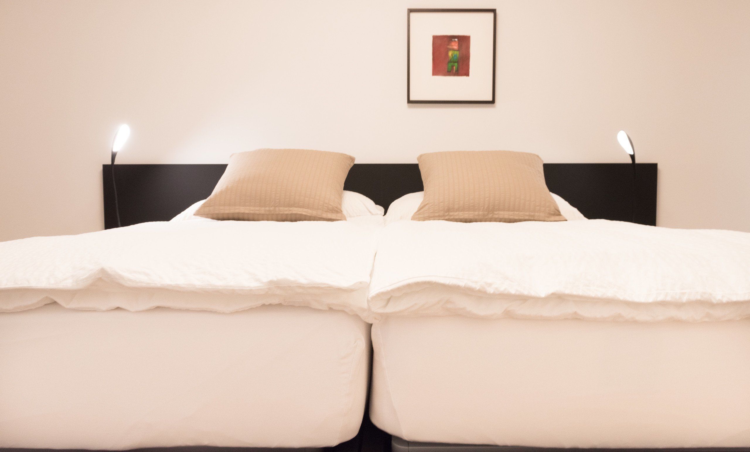 A double bed with two pillows and a framed picture on the wall.