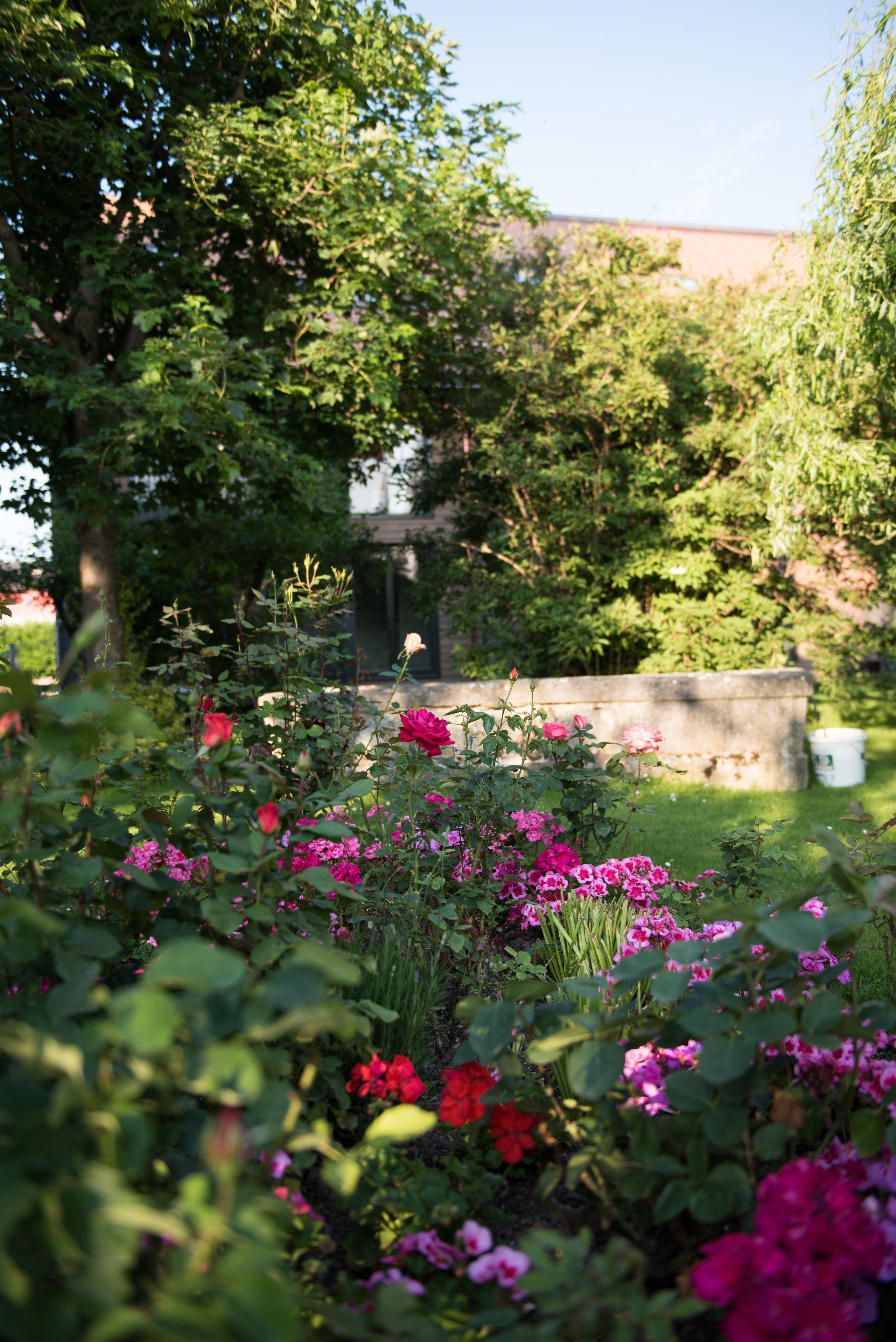 A garden with various flowers and a stone wall.