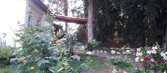 Quiet home in Israel