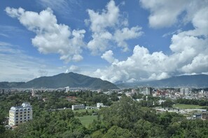 Un paisaje urbano con una montaña destacada al fondo, rodeado de vegetación y diversos edificios.