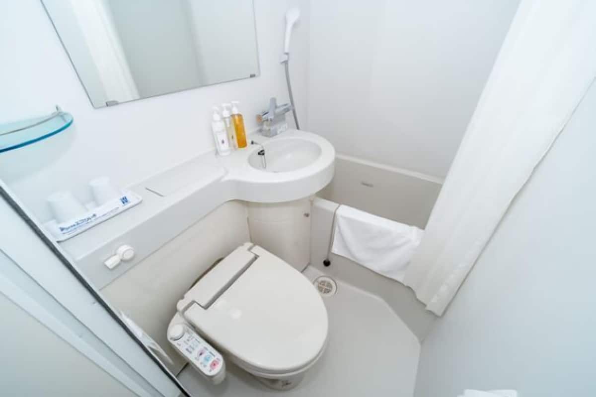 combined shower/bathtub, deep-soaking bathtub, hair dryer, slippers