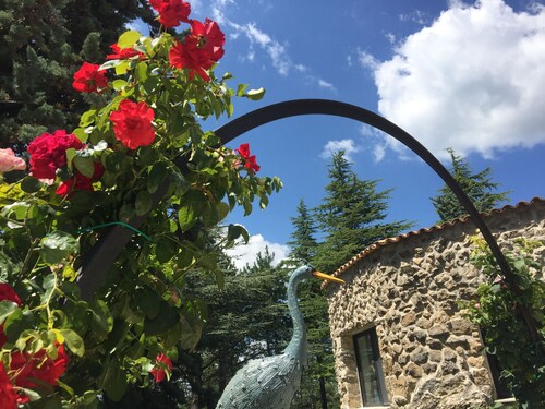 Villa Giovannozzi - Swimming Pool & Tennis Court