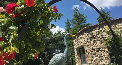 Villa Giovannozzi - Swimming Pool & Tennis Court