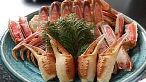 A plate of cooked crab legs garnished with a sprig of green herb. - Minshuku Kazu (Kami)