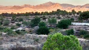 Surrounded by lush trees and shrubs, this serene landscape offers breathtaking views of the surrounding mountains.