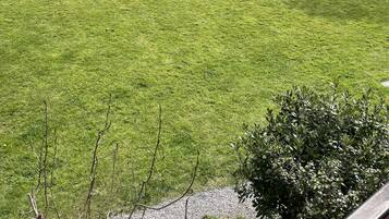 Een verzorgd gazon met enkele bomen en struiken, een grindpad en een houten omheining op de achtergrond.