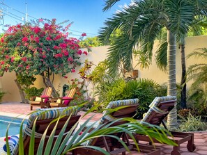 Property grounds - Spacious Hacienda style home with charming garden, screened porch and pool (Puerto Morelos)