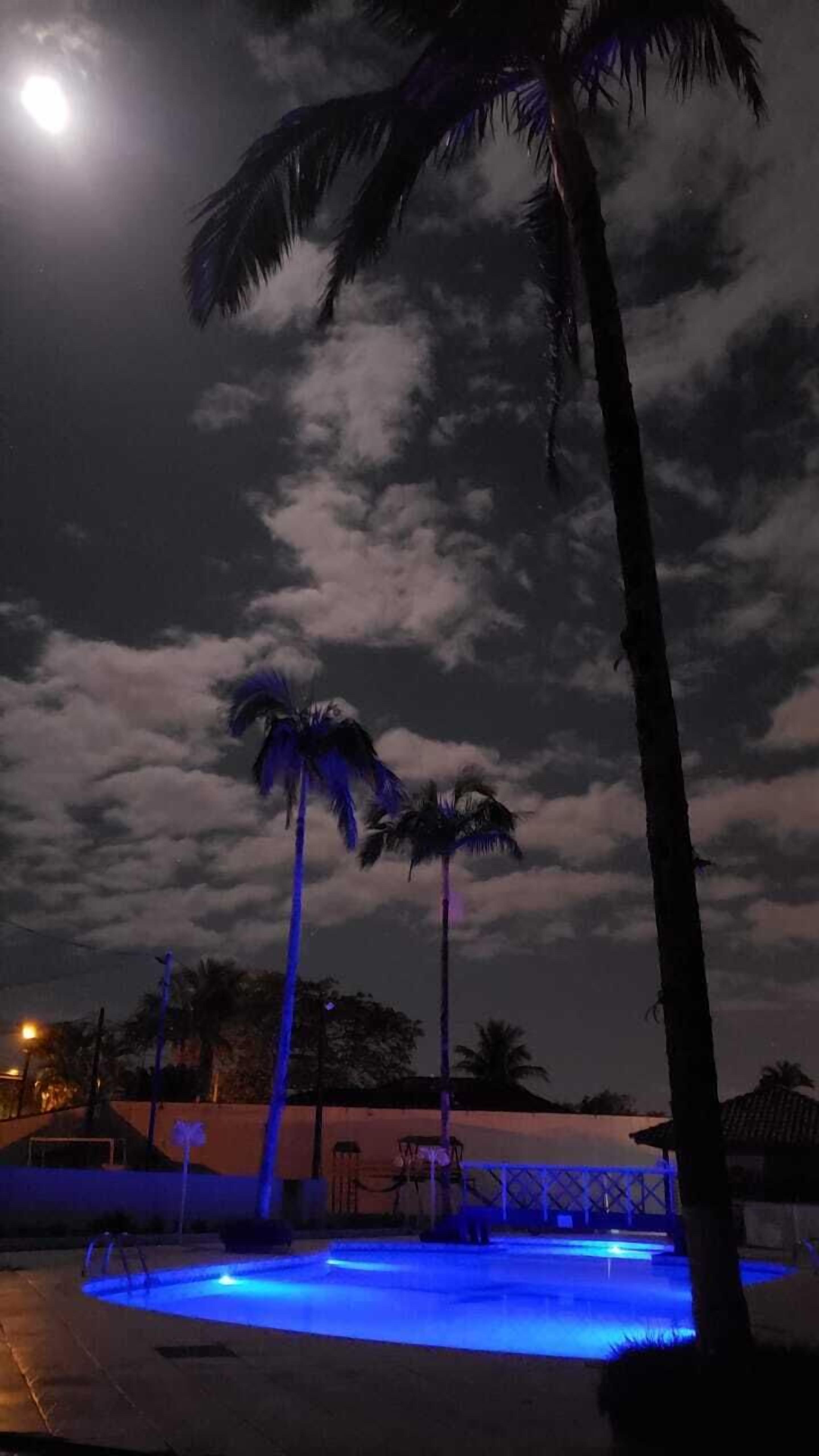 outdoor pool, open 10:00 am to 10:00 pm, pool umbrellas, pool loungers