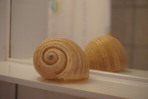 A shell on a white surface.