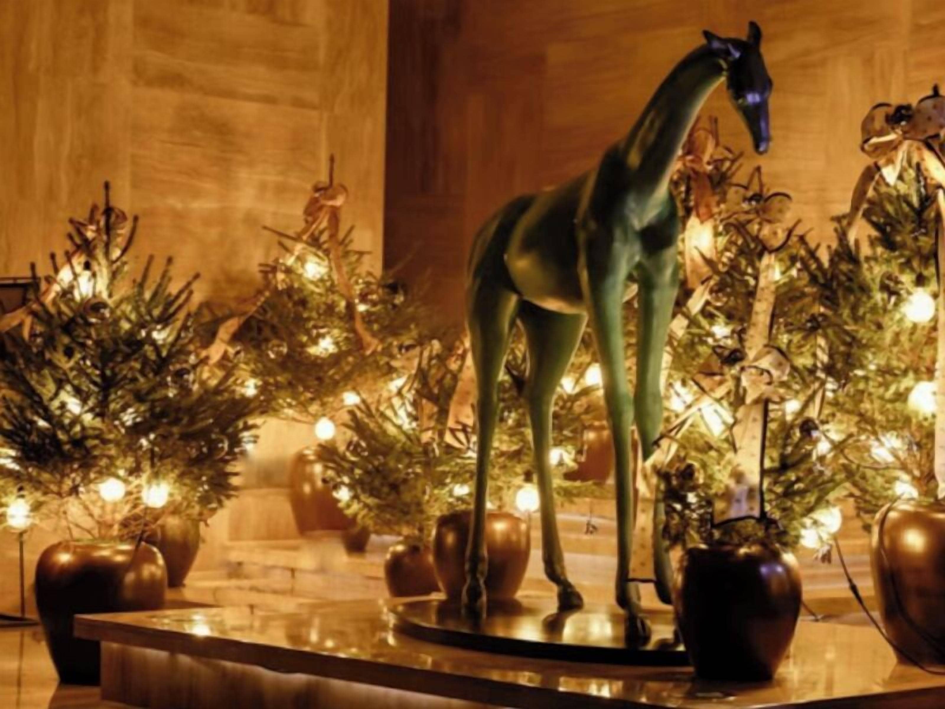 Photo - Park Hyatt Shenzhen