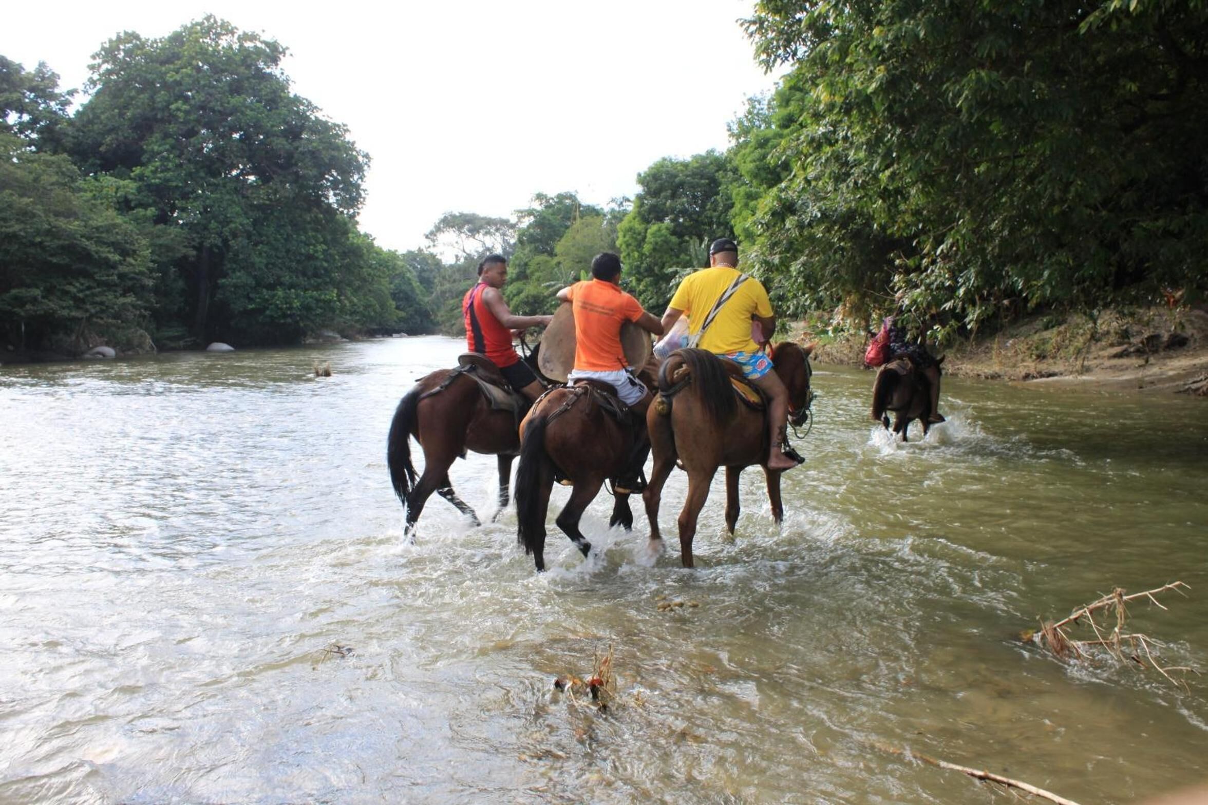 Foto - Cabañas Ecoturisticas Y Club Gaira Tayrona