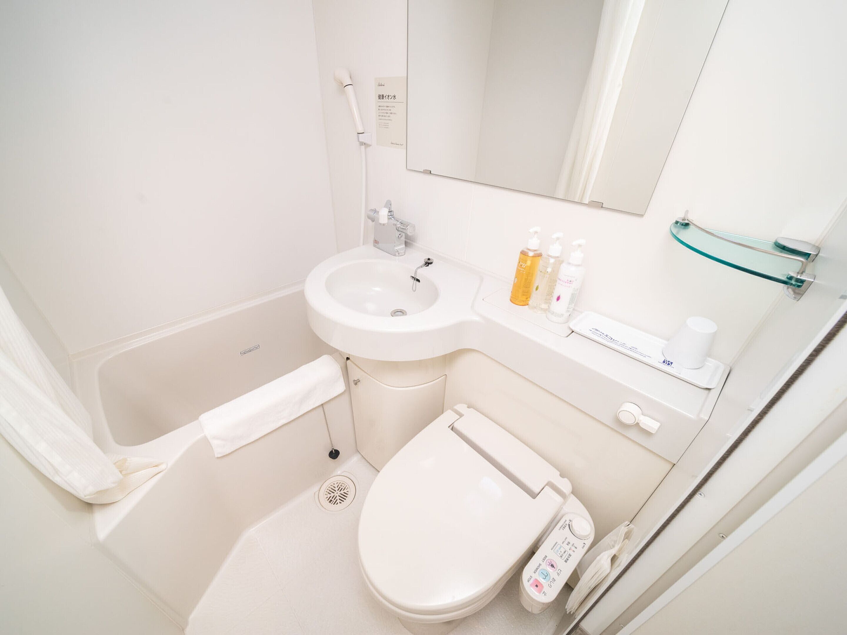 combined shower/bathtub, free toiletries, hair dryer, slippers