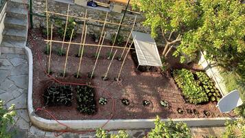 Overnatningsstedets område