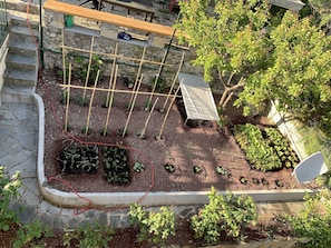 Property grounds - Bubo House Sea View (Poggio Favaro-San Bernardo)