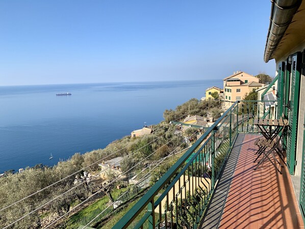 A coastal view with a balcony overlooking the sea, a building with a green railing, and a ship in the distance.