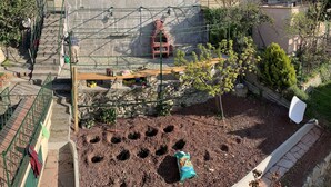 A rooftop garden with a wooden bench, a small tree, and a metal railing. - Bubo House Sea View (Poggio Favaro-San Bernardo)