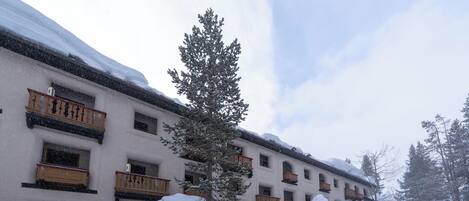 Un immeuble à plusieurs étages doté de balcons, entouré d’arbres couverts de neige et s’inscrivant dans un paysage hivernal.