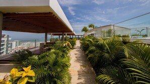 Una terrazza sul tetto con un vialetto fiancheggiato da piante tropicali, con vista sulla città e sull'oceano.