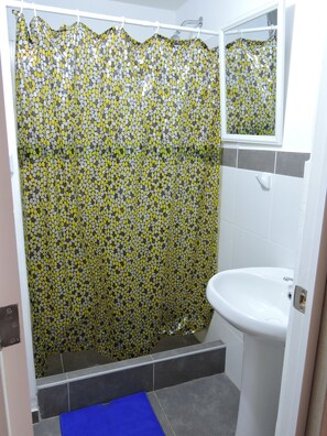 Douche, serviettes fournies, shampooing, papier de toilette
