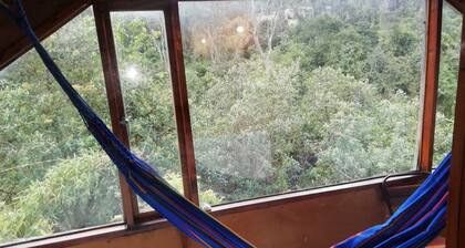 Private forest view!