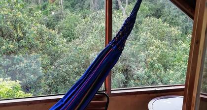 Private forest view!