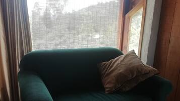 TV, fireplace, table tennis