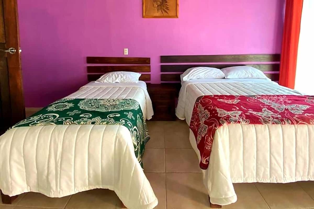 1 habitación y ropa de cama