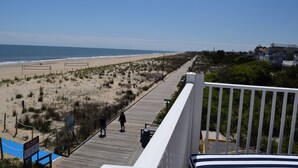 Un paseo marítimo con pasarelas de madera, vegetación costera y una vista despejada del océano.