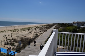 On the beach